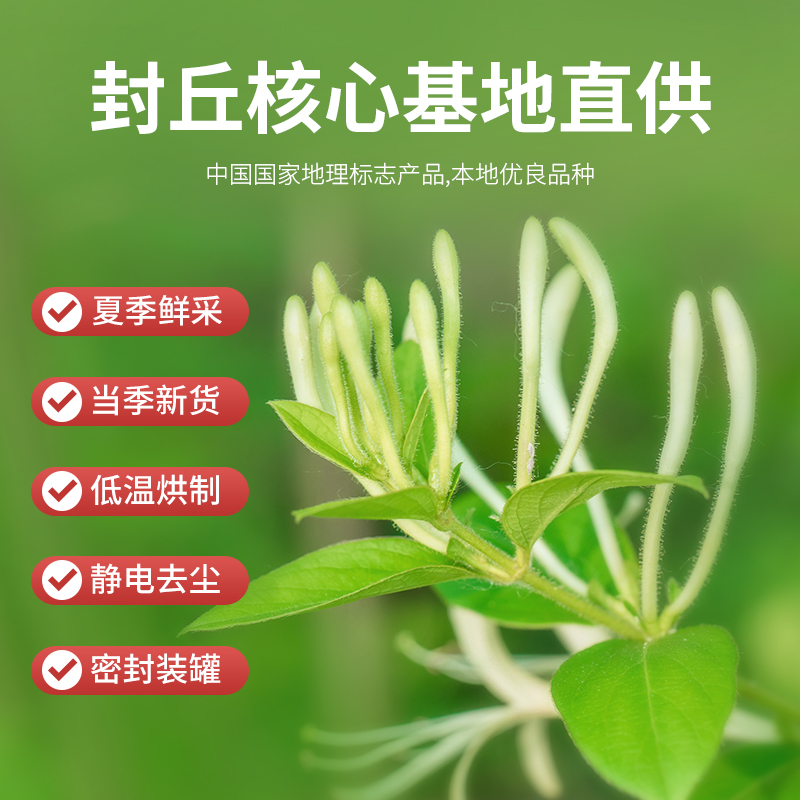 河南新货金银花菊花决明子花茶养生茶散装清热茶正品非特级旗舰店