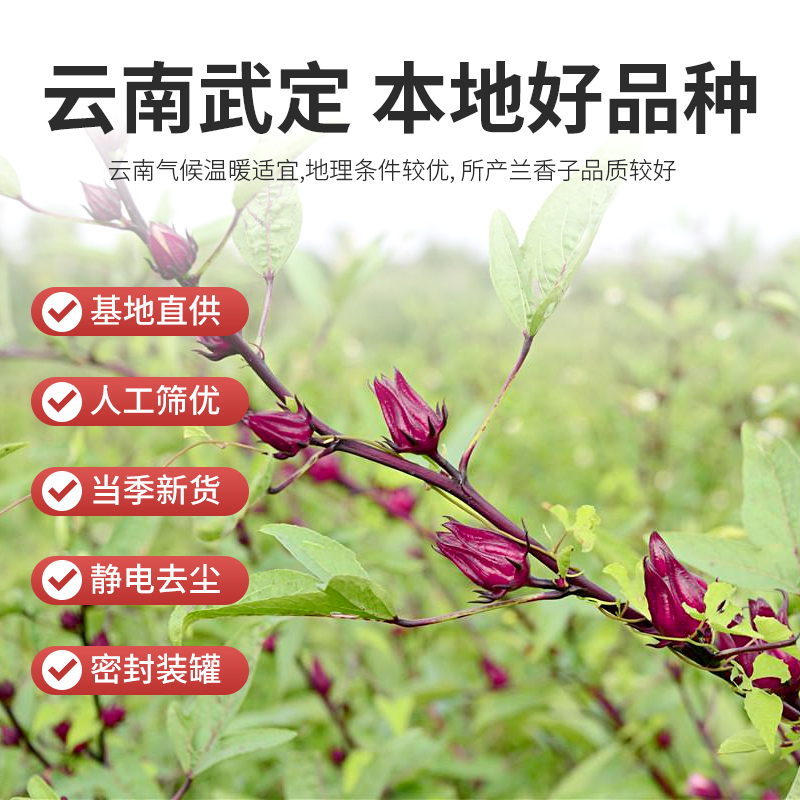 洛神花陈皮茶玫瑰茄山楂干果脯玫瑰花茉莉花红枣干花茶养生茶