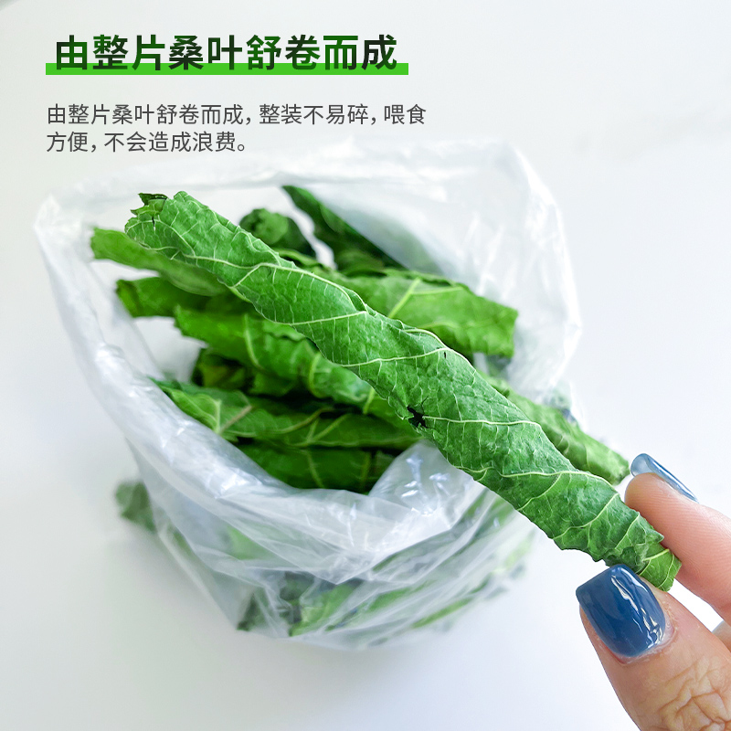 新采摘烘干手摘桑叶脆卷兔子豚鼠龙猫零食补充营养蛋白防上火50g - 图2