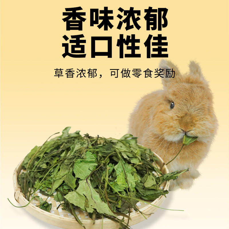 保健草红薯叶兔子干草食用草大地瓜叶龙猫荷兰猪干草牧草营养保健,淘宝优惠券,粉丝福利购,淘宝优惠卷