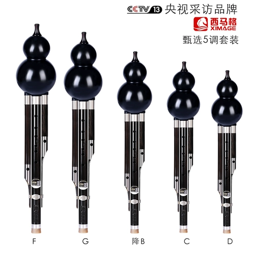 西马格 Ebony Ebony Professional Performance тыкв C, снижение B -Регулирование DFG SET музыкальный инструмент