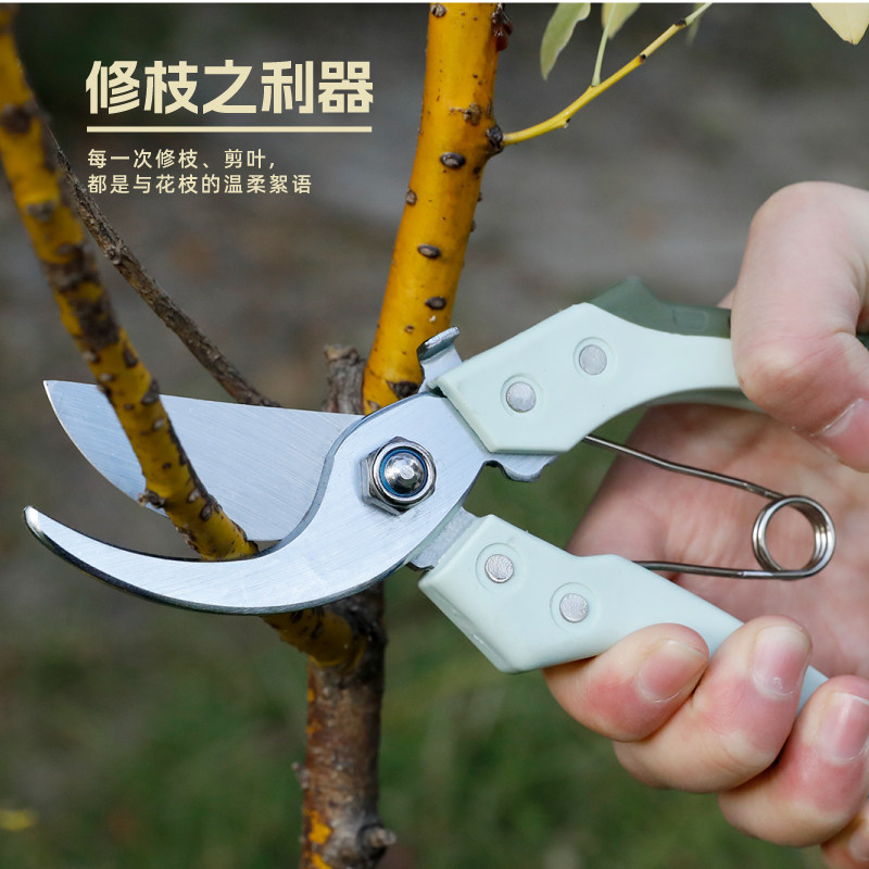 沃施worth园艺工具套装礼盒豪华修枝剪刀锯花园花艺园林工具包,淘宝优惠券,粉丝福利购,淘宝优惠卷