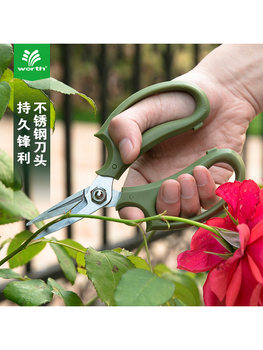 Worsch floral scissors flower pruning flower scissors gardening stainless steel flower pruning flower ຈັດສວນດອກໄມ້ພິເສດ pruning shears