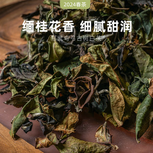 2024春茶现货 一生茶语易武弯弓古树白茶 云南白茶散茶罐装 50g