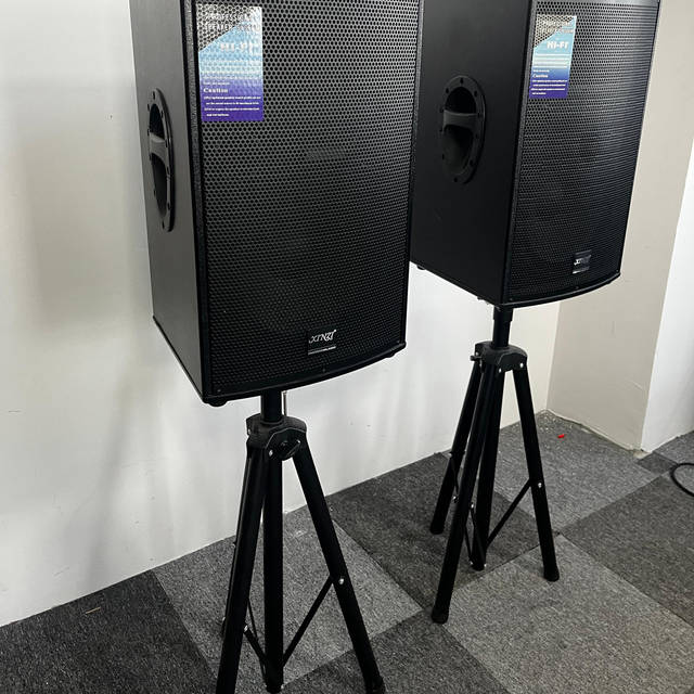 Professional 12-inch 15-inch wedding karaoke stage speakers