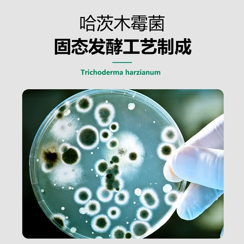 Саженцы и саженцы Hatzobee Plound для улучшения профилактики почвы и передачи почвы 1 миллиарда микробиоплазиков Mildo