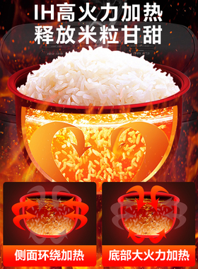 TIGER虎牌IH土锅电饭煲2-5人3L