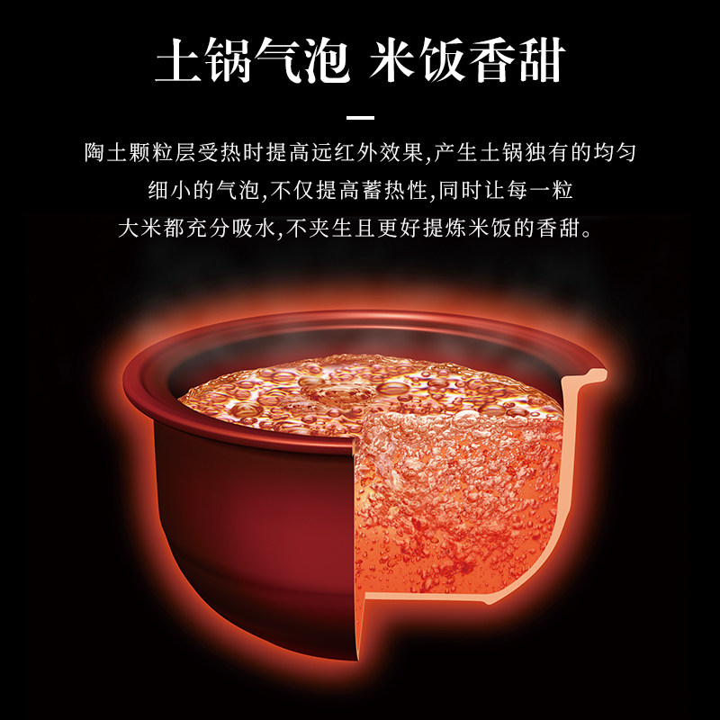 tiger /虎牌jkt-d10c进口智能ih 3l tiger虎牌电器电饭煲