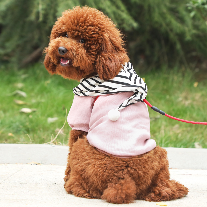 中农康 狗狗衣服两脚休闲小型犬宠物卫衣 热品库 性价比省钱购