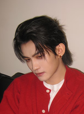 云熠同款枫叶耳钉S925银针男士