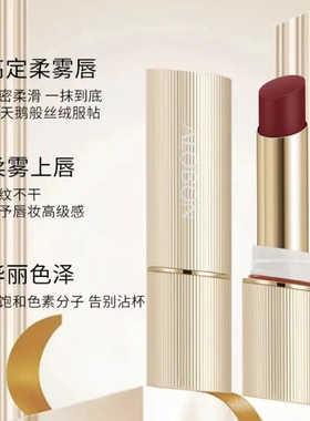 爆款网红唇感正品雅邦不沾杯气密唇膏哑光显白口红丝滑特久不掉色