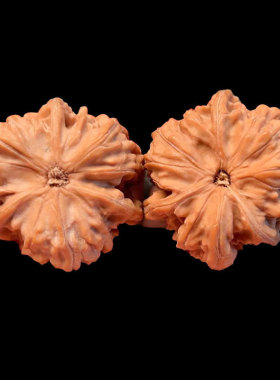 热销批发文玩核桃手玩核桃件文山天然生长异形把正奔一对老树果子