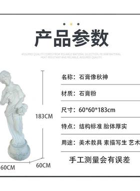 批发写生石膏像家居装饰摆件石膏胸像素描美术石膏教具秋神石膏像