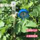 Soil Tension Meter Water Potential Sensor Water Dielectricity Meter Water Dielectric Meter Scientific Research Negative Pressure Meter Land Irrigation Monitoring Guide Table