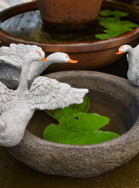 热销新品阳台装饰布置天鹅绿萝水仙花养鱼庭院花园铜钱草水培花盆