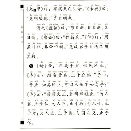 学庸论语大字注音版王财贵书小学生课外阅读早读本国学经典读物儿童中国文化导读绍南文化读经教材简体大学中庸论语 厦门大学出版 - 图1