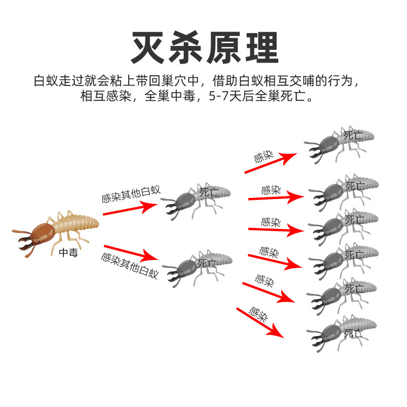 白蚁防治专用药除飞蚁杀白蚂蚁全窝一巢家用端灭白蚁药粉杀虫剂 - 图1