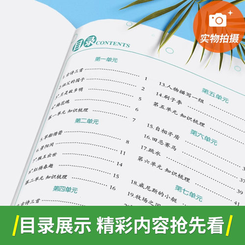 2026新版笔下生辉规范汉字字帖一年级二年级三四年级五六七八年级上册下册语文英语人教版同步字贴控笔训练正楷练字帖随堂默写手册 - 图3