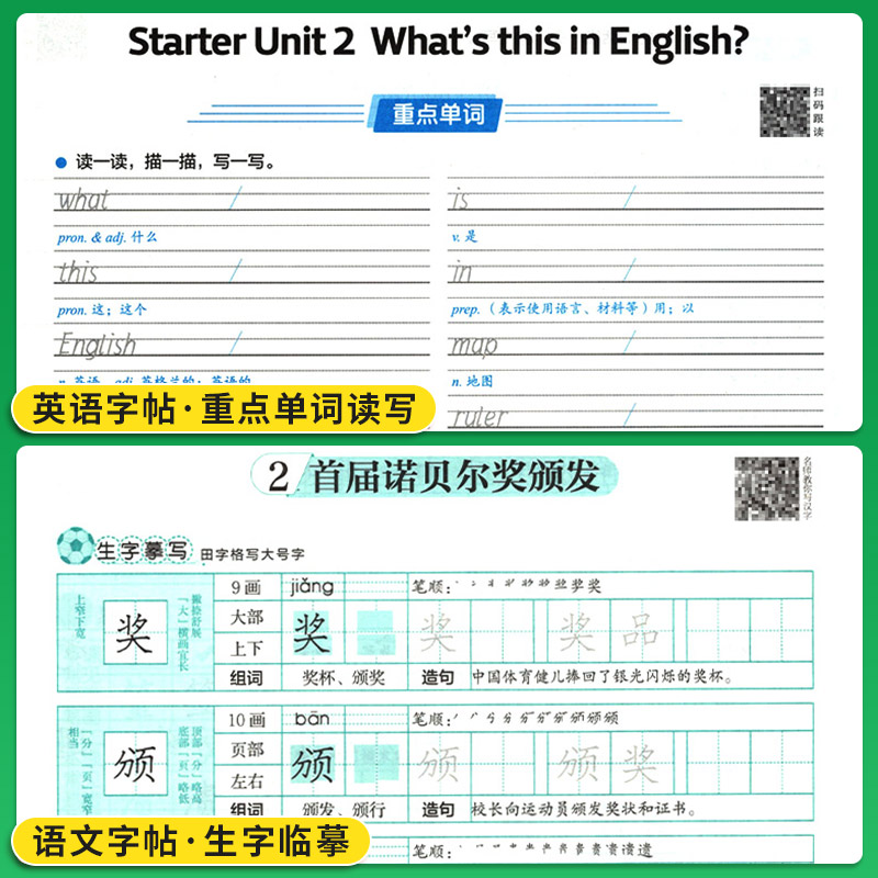 新版笔下生辉规范汉字字帖七年级八年级上册下册语文英语同步字帖初一初二练字帖随堂练字与教材同步默写衡水体字帖初中正楷行楷 - 图3