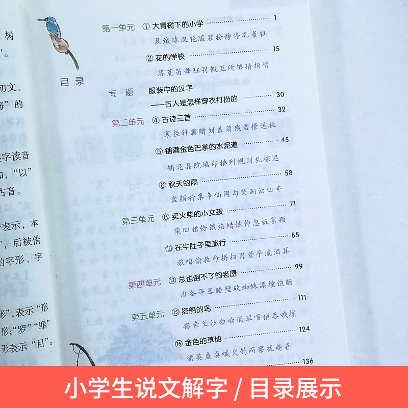 好学匠小学生说文解字1-6年级上下册共12本彩绘注音版语文教科书生字学习用书小学生儿童识字认字生字幼小衔接教学儿童教师用书-图1