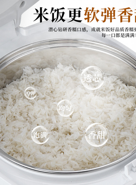 新创埼3L蒸煮2-5杂粮饭电饭煲316