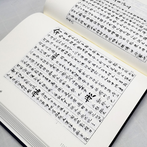 现货包邮尚书释音 古逸丛书 玉篇零本 精装 校勘学 版本学 辑佚学 书法艺术价值 正版华东师范大学出版社黎庶昌日本古本逸篇 - 图1