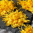The golden chrysanthemum, the big chrysanthemum, stays up late to get rid of the fire