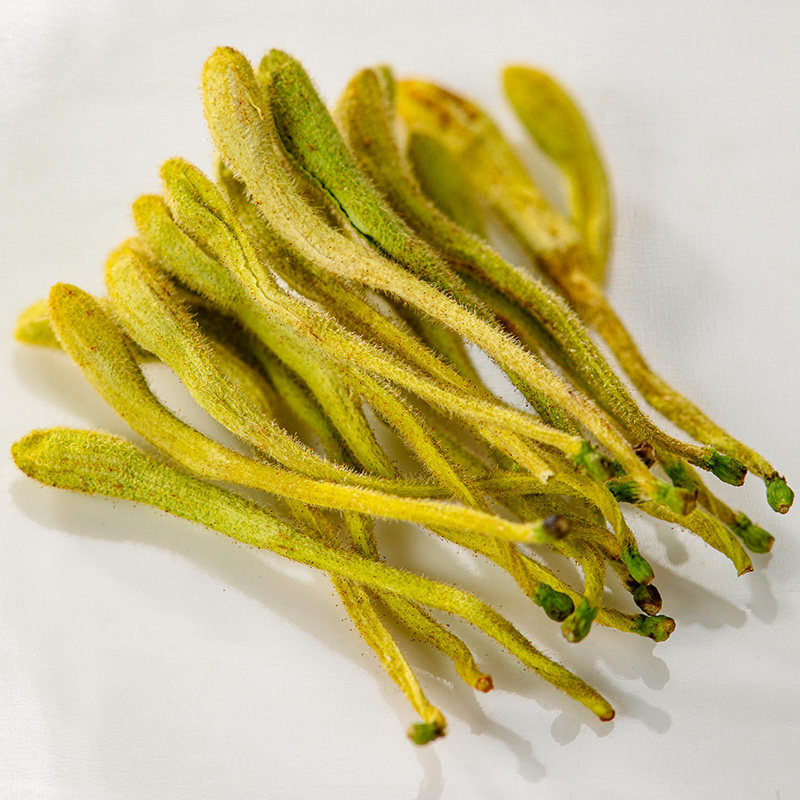 官方旗舰店特级正品散装干菊花 猫小乐代用/花草茶