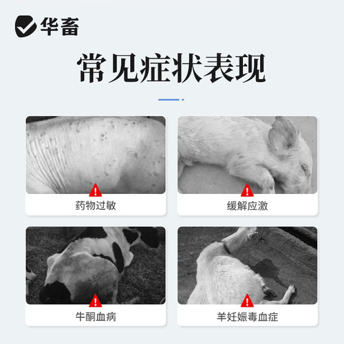 华畜兽药地塞米松磷酸钠注射兽用液猪牛羊用药消炎退热烧地米针剂 - 图1