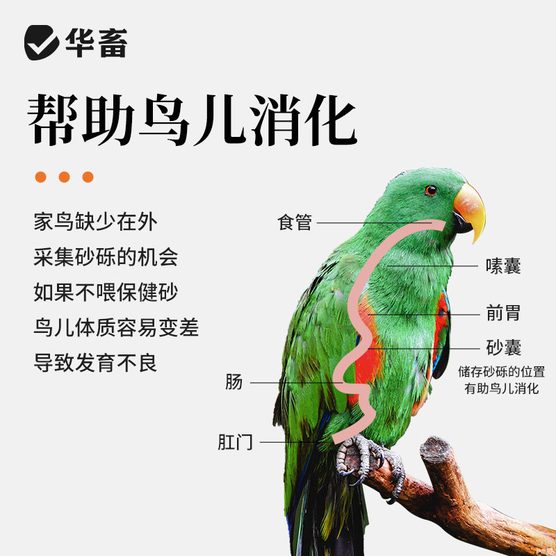 华畜保健砂鸽子专用保健沙颗粒高钙营养红土鹦鹉食粮赛鸽信鸽鸟粮,淘宝优惠券,粉丝福利购,淘宝优惠卷