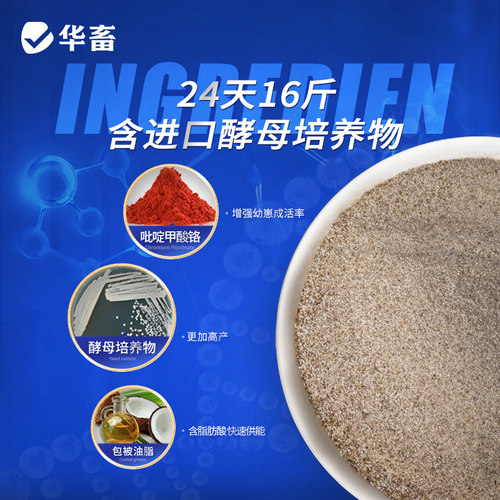 华畜24天16斤母猪催奶下奶奶爸王霸王发奶催乳兽用猪牛羊专用奶粉 - 图0