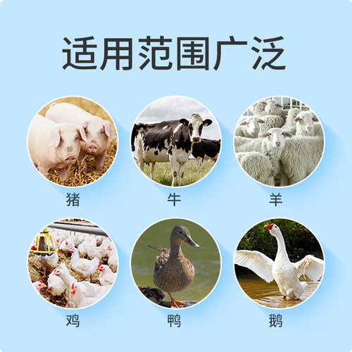 华畜猪用记号笔蜡笔大号养殖场牛羊畜牧兽用标记笔漆动物身上画笔 - 图1