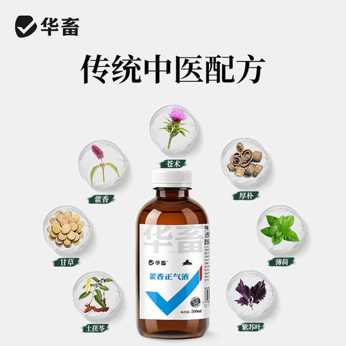 华畜藿香正气液兽用降温解暑口服液猪牛羊抗应激鸡鸭鹅中暑解清热 - 图2