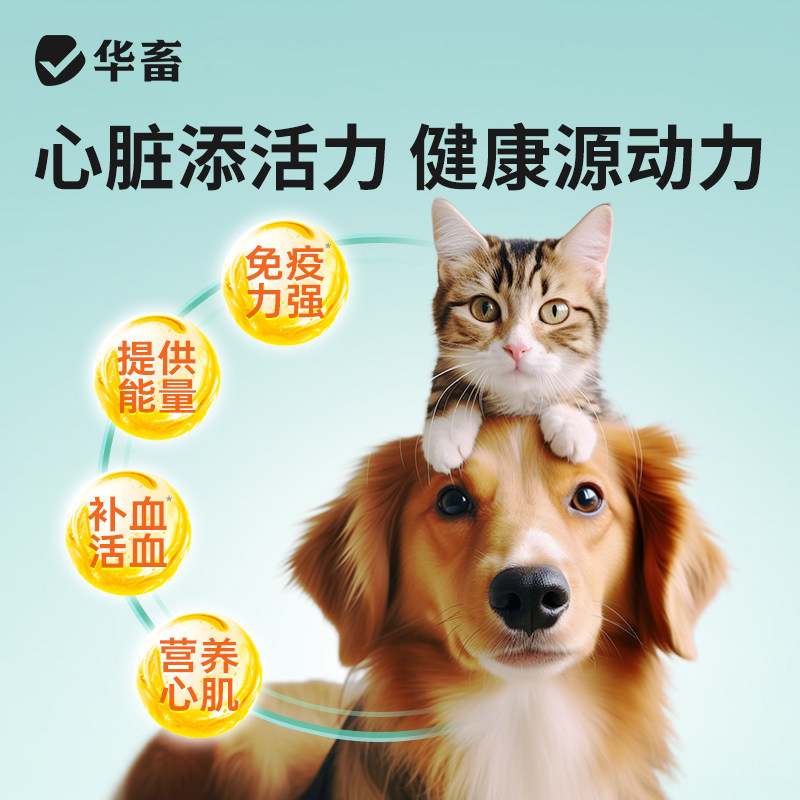宠物辅酶Q10狗猫保护心脏肥厚病老年犬心衰心肌养护强健营养保健,淘宝优惠券,粉丝福利购,淘宝优惠卷