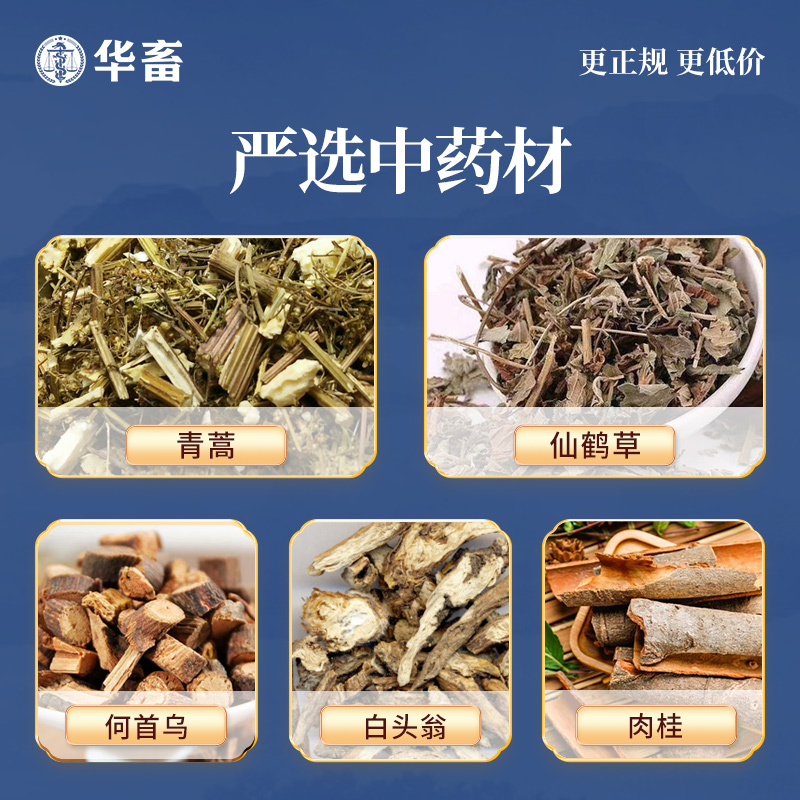 华畜兽药鸡球虫散鸡兔子鸭鹅鸽药兽用正品驱打虫药血便肠道球虫药 - 图1