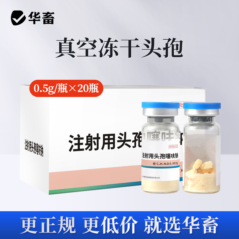 华畜兽药头孢噻呋钠兽用注射用液正品鱼腥草黄芪猪牛羊针剂消炎药,淘宝优惠券,粉丝福利购,淘宝优惠卷