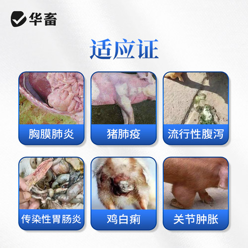 华畜兽药盐酸多西环素兽用可溶性粉强力霉素正品阿莫西林氟苯尼考 - 图2