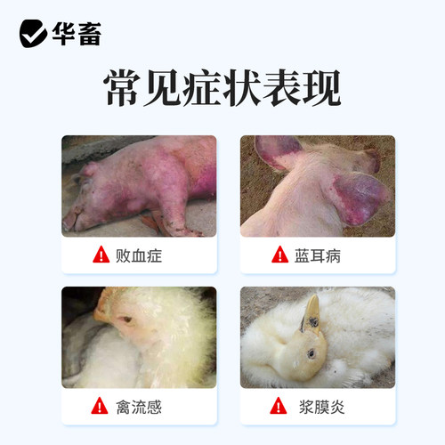 华畜兽药卡巴匹林钙可溶性粉禽鸡猪牛羊兽用阿司匹林退烧解热镇痛 - 图1