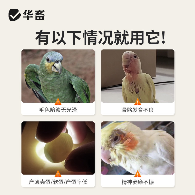 华畜鹦鹉鱼肝油补充维生素他命保健营养调理玄凤虎皮牡丹鸟用鱼油,淘宝优惠券,粉丝福利购,淘宝优惠卷