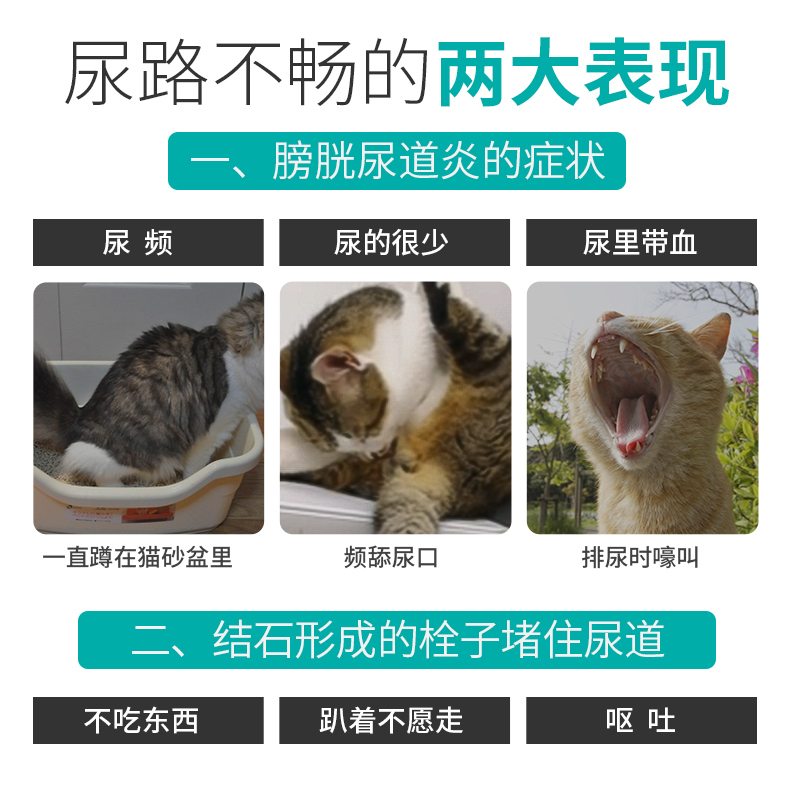 猫咪尿路感染尿结石尿血尿道养护狗狗膀胱炎利尿通尿频宠物畅尿通 - 图1