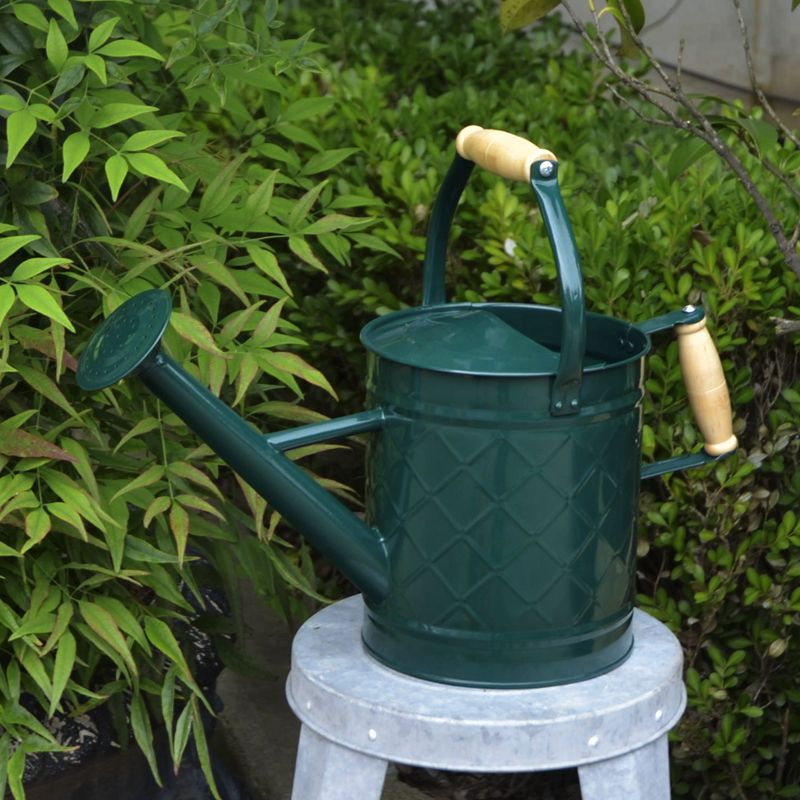 出口铁质彩色浇花壶活动花洒淋花壶浇水壶木柄把手两用洒水壶3.5L,淘宝优惠券,粉丝福利购,淘宝优惠卷