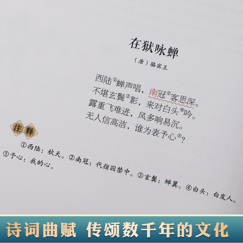 飞花令全4册飞花令里读诗词正版适合中小学生看的诗词四五六年级初中课外阅读书籍8-10-12-14岁儿童读物中国古诗词国学经典书籍-图2