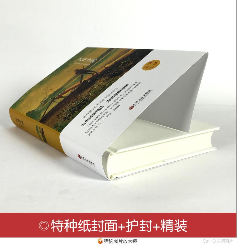 世界名著全套100本名家名译精装版昆虫记爱的教育飘呼啸山庄雾都孤儿悲惨世界红与黑名家名译经典名著全套学生课外书-图1