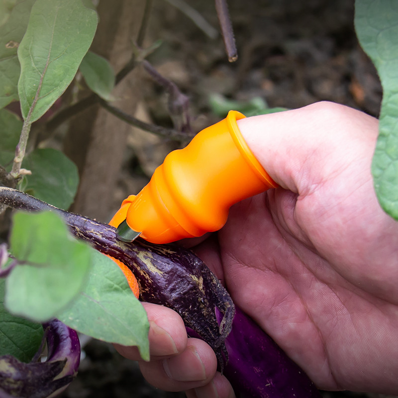 农用摘花椒神器专用手套采摘铁指甲套摘菜器掐菜摘豆角手母拇指刀 - 图1