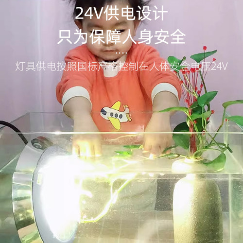 泳池灯水下壁灯水底灯led防水射灯12V24V挂壁式游泳池照明专用灯 - 图2
