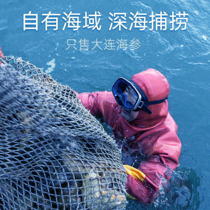 久年9a大连淡200g孕妇旗舰店干海参 久年海参
