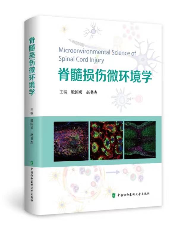 现货新书 脊髓损伤微环境学 主编般国勇赵书杰 中国协和医料大学出股社 - 图0