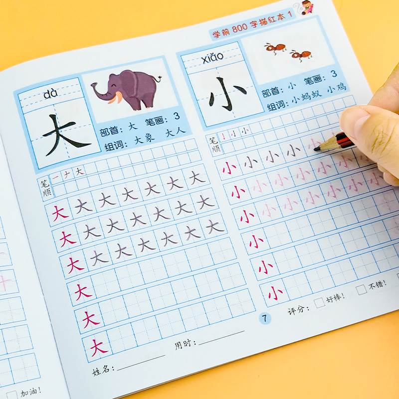 语文汉字描红练字本每日一练800字幼儿园中大班幼小衔接一年级笔画笔顺练字帖幼升小学前入学准备天天练 - 图0