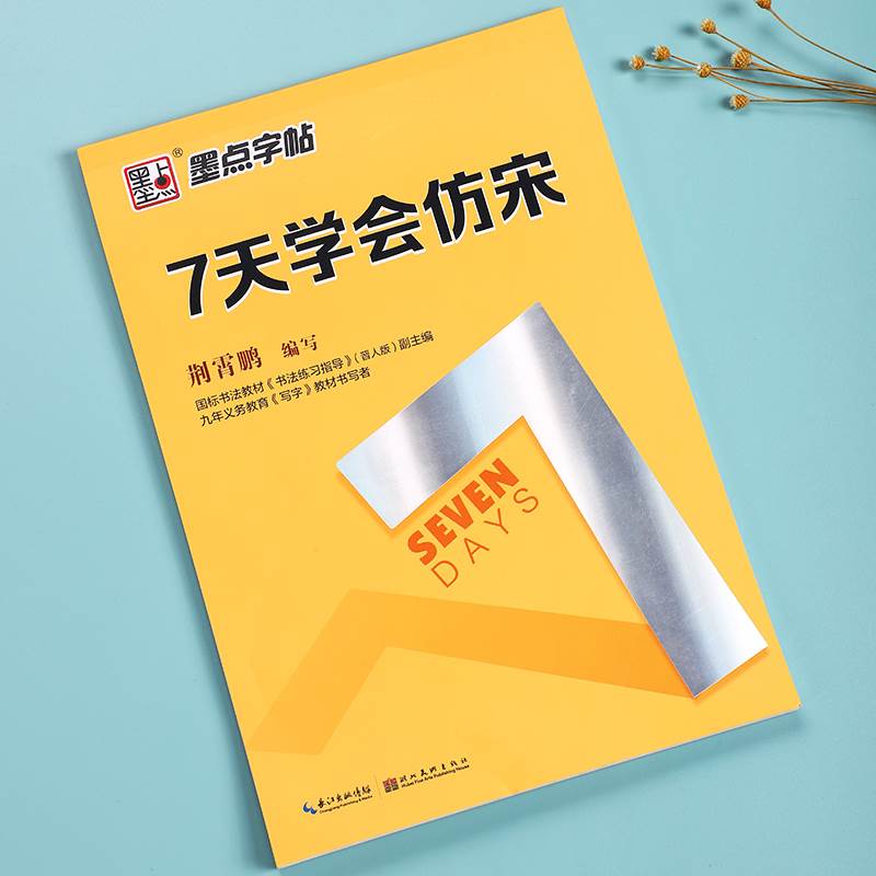 仿宋字帖硬笔书法宋体临摹练字帖大学生7七天学会仿宋钢笔描红成人专用长仿宋字零基础成年男初学者入门标准建筑工程制图练字本-图0