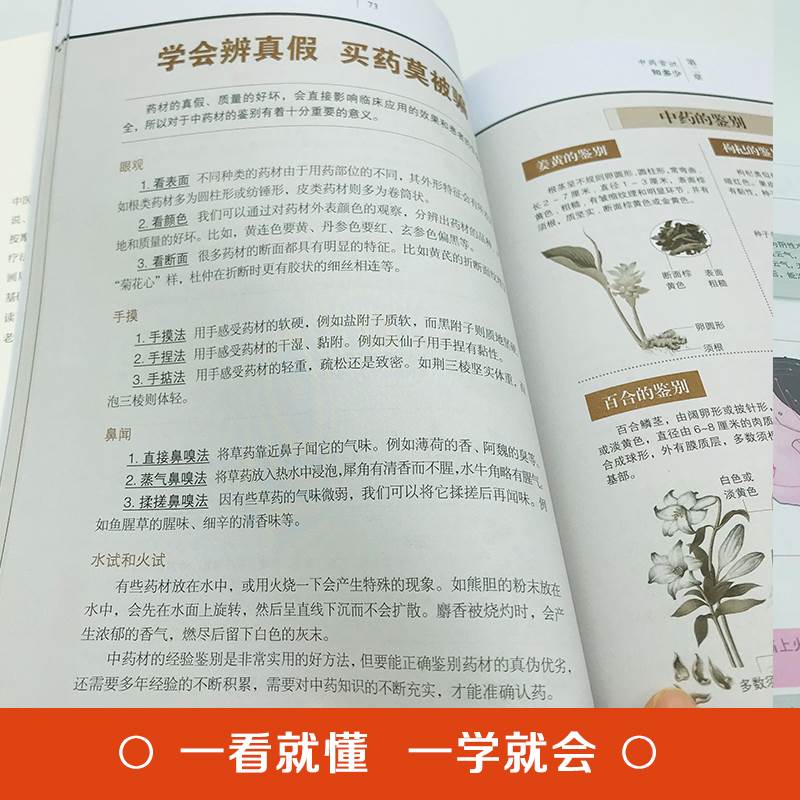 从生活中学中医中医入门一本就会识字即懂得中医智慧随手可用的中医方法临床中医学零基础入门书籍家庭养生保健书籍